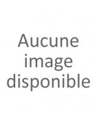 Bières Auvergnates